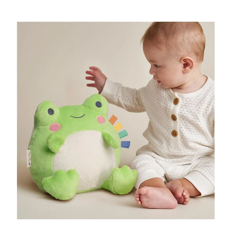 Itzy Ritzy Baby Sweetie Snuggles Frog