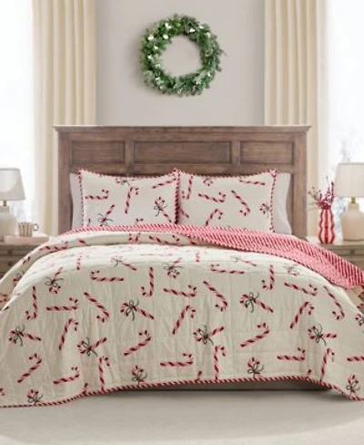 Hallmark Bedding Candy Canes Holiday 3 Pc. Quilt Set