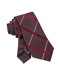 Calvin Klein Men's Isabella Grid Tie