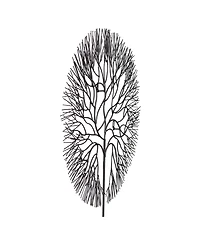Phillips Collection Wire Tree Circle Large Metal Wall Art