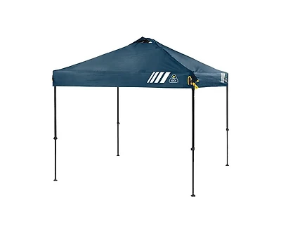 LevrUp Canopy 10x10