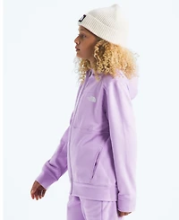 The North Face Boys and Girls Xs-xxl Performance Full-Zip Hooded Jacket