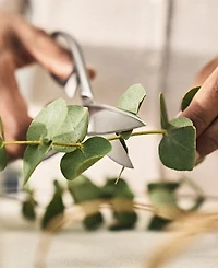 Zwilling Twin Select Stainless Steel Kitchen Shears