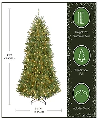 National Tree Company 7' Dunhill Fir Hinged Tree with 700 Clear Lights + PowerConnect