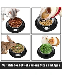 Wopet 2 Pcs Cat Bowls Non Slip Stainless Steel Small Cat Food Bowls Unbreakable Thicken Cat Feeder 7 Oz Cat Dishes Suitable for Indoor Small Pets