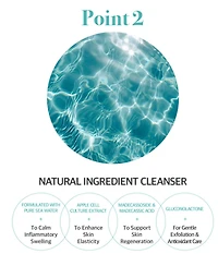 Siia Cosmetics 2-Pc. Smart Bubble Cleanser Value Set