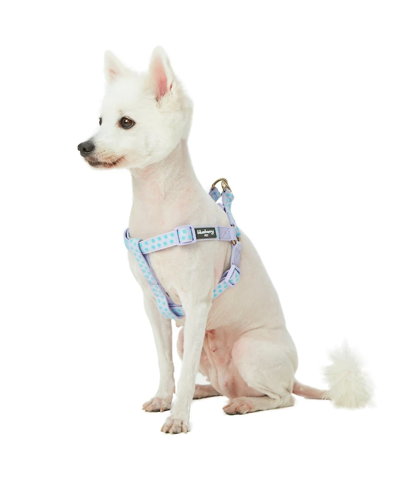 Blueberry Pet Velvety Polka Dot Dog Step-in Harness with with Bow