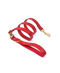 Blueberry Pet Silver-Powered Freshness Microfiber Suede Dog Collar – Embossed Classic Pattern with Bronze Studs