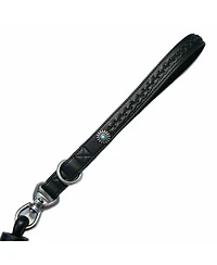 Blueberry Pet Silver-Powered Freshness Microfiber Suede Dog Leash Camel Tan– Fringed Style with Turquoise Studs