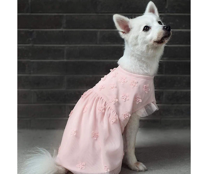 Blueberry Pet Breton Stripe Dog Dress