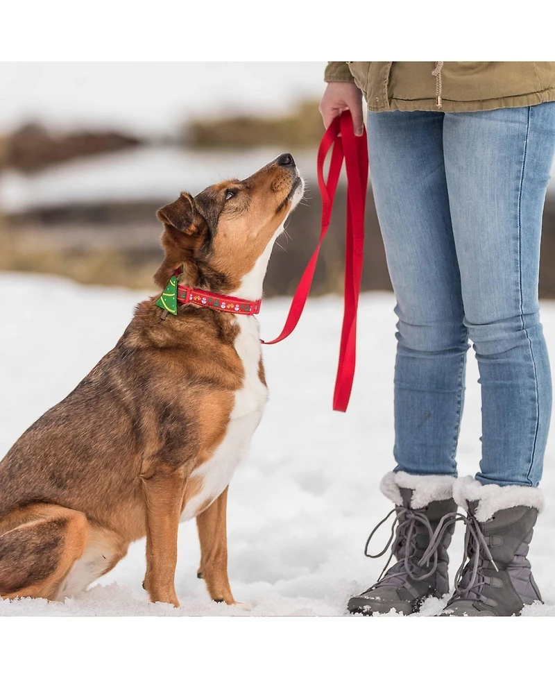 Blueberry Pet Christmas Dog Collar with Blingy Decor