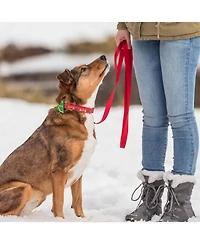 Blueberry Pet Christmas Dog Collar with Blingy Decor