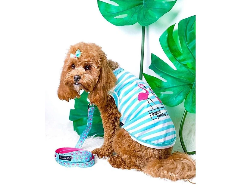 Parisian Pet Flamingo