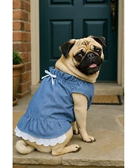 Parisian Pet Tunic Country Dress Denim