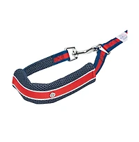 Dogs & Cats Co. Striped Dog Leash Red and Pink