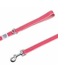 Dogs & Cats Co. Two-Tone Contrast Trimmed Dog Leash with Aluminum D-Ring
