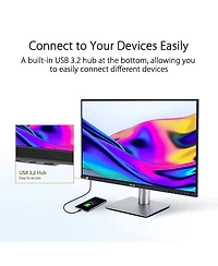 Asus 9B24-281-259 32 in. ProArt Display Professional Monitor