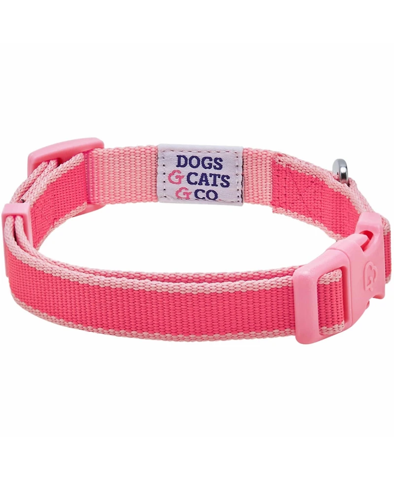 Dogs & Cats Co. Two-Tone Contrast Trimmed Dog Collar with Safety Aluminum D-Ring