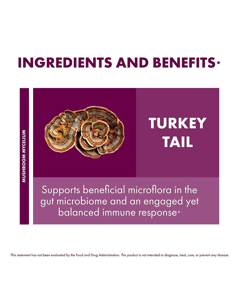 Host Defense Turkey Tail Capsules, 240 ct (Pack of Two 120 ct Units)