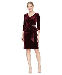 Alex Evenings Womens Velvet 3 4 Sleeve Sheath Dress