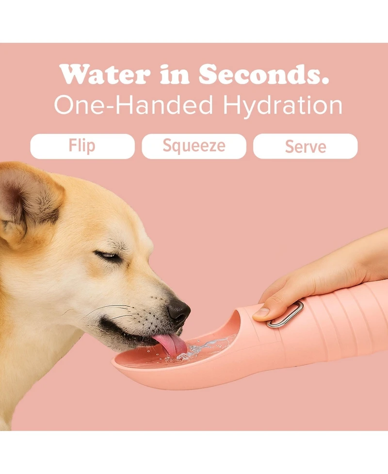 Puppington Collapsible Dog Water Bottle