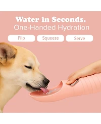 Puppington Collapsible Dog Water Bottle