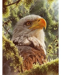 SunsOut High and Mighty 1000 piece Jigsaw Puzzle for Adults