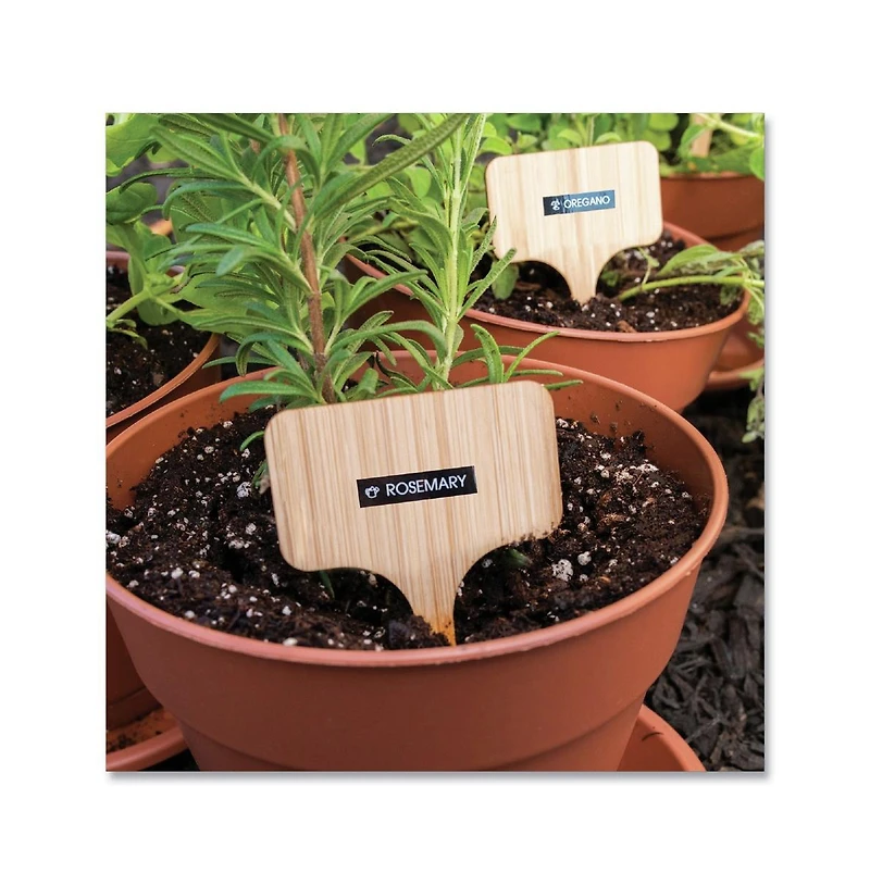 Brother P-Touch TZE315 0.23 in. x 26.2 ft. TZe Standard Adhesive Laminated Labeling Tape - White on Black