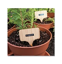 Brother P-Touch TZE315 0.23 in. x 26.2 ft. TZe Standard Adhesive Laminated Labeling Tape - White on Black