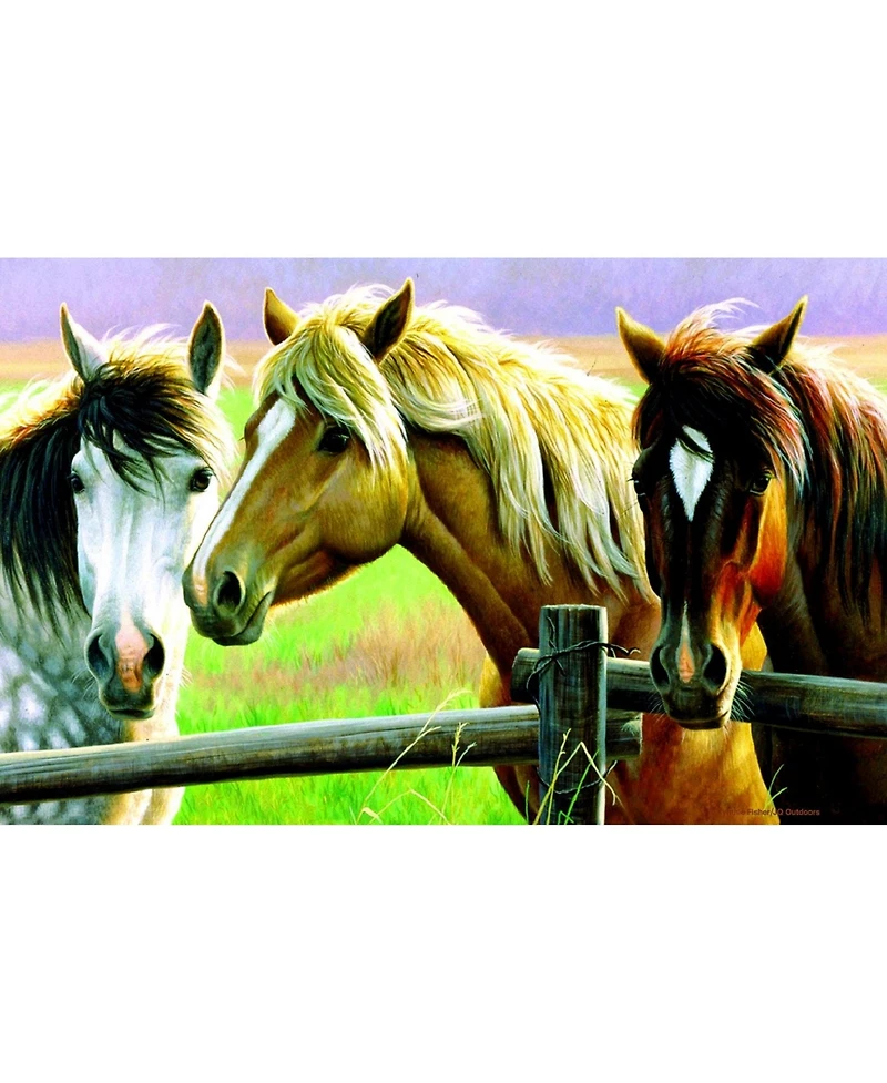 SunsOut Horse Fence 1000 piece Jigsaw Puzzle for Adults