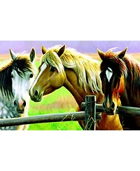 SunsOut Horse Fence 1000 piece Jigsaw Puzzle for Adults