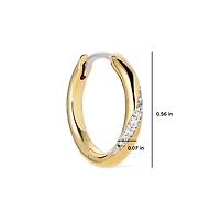 Ana Luisa Hoop Earrings