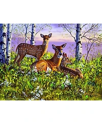 SunsOut Spring twins 500 piece Jigsaw Puzzle for Adults