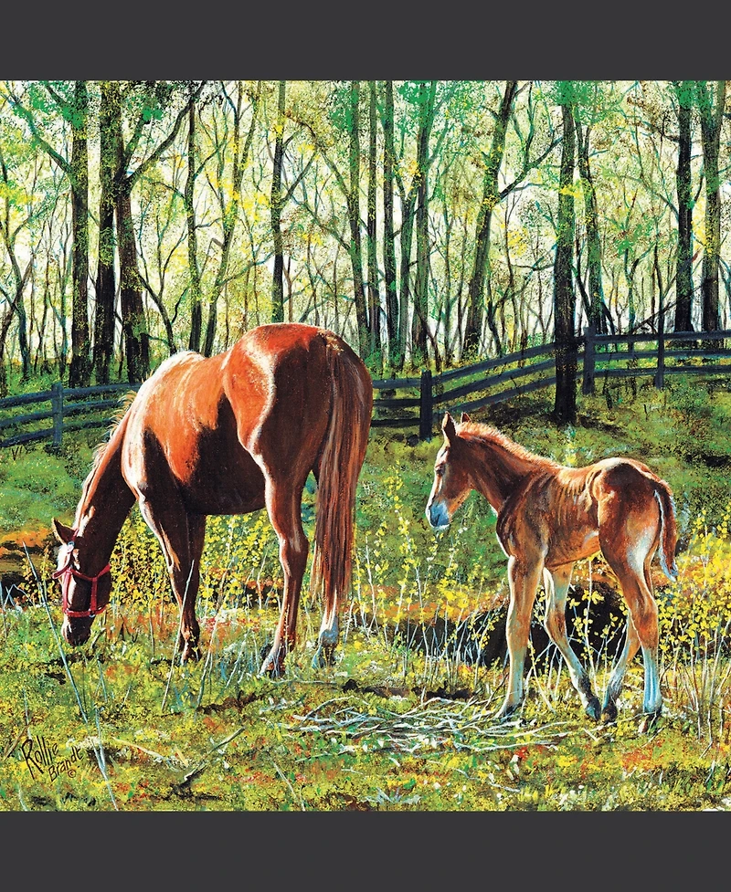 SunsOut Tag Along 500 piece Jigsaw Puzzle for Adults