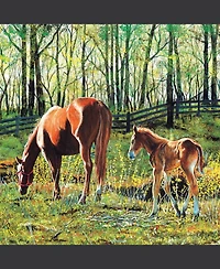 SunsOut Tag Along 500 piece Jigsaw Puzzle for Adults