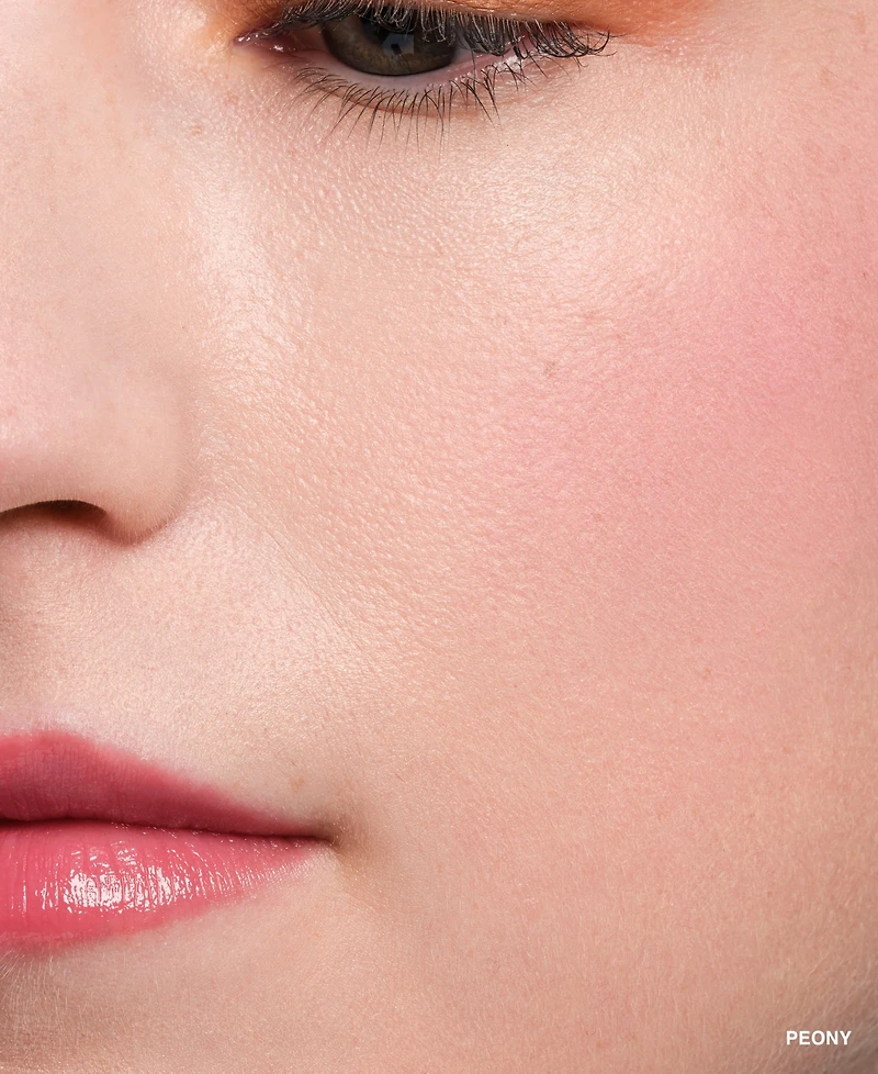 Bobbi Brown Pot Rouge Velvet Matte Cream Blush for Cheeks and Lips