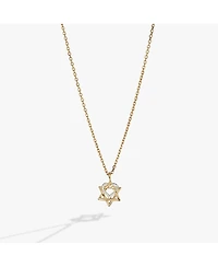Alex and Ani Star Of David Heart Necklace