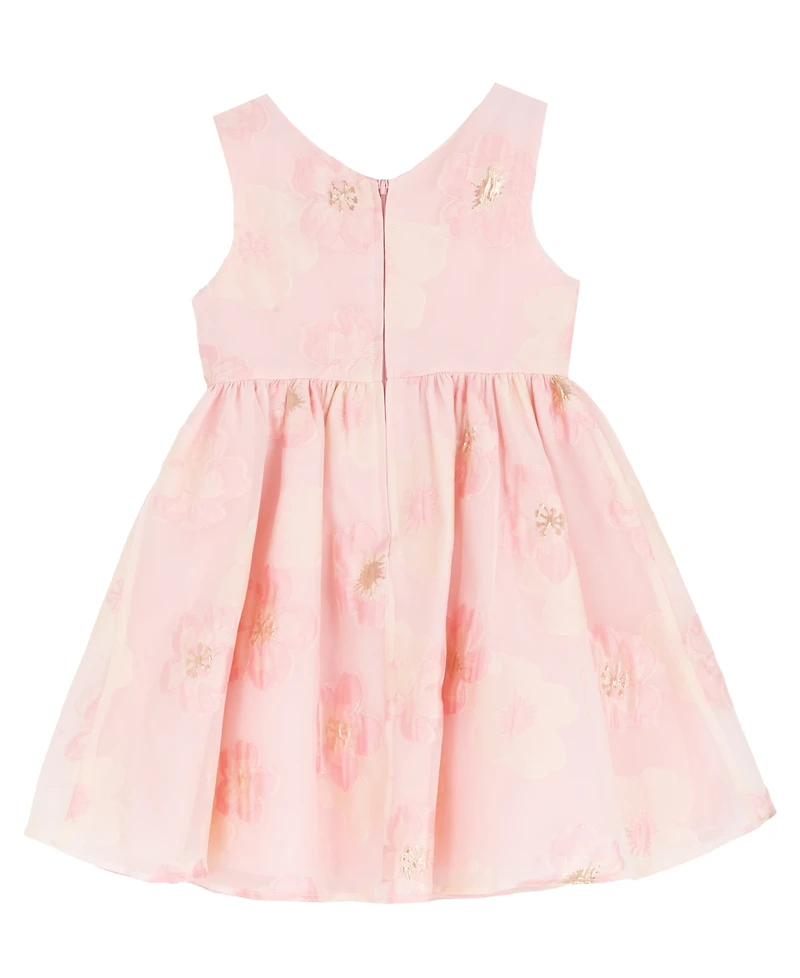 Rare Editions Girls' 2T-6X Floral Burnout Round Neck Dress