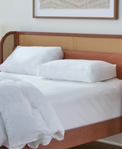 Beyond Down Side Sleeper 2 Pack Pillows