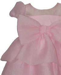 Bonnie Baby Girls' Crinkle Organza Party Dress