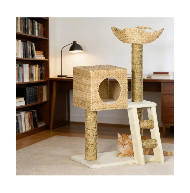 Aostirmotor 39.5'' Cat Tree with scratching posts in Wood