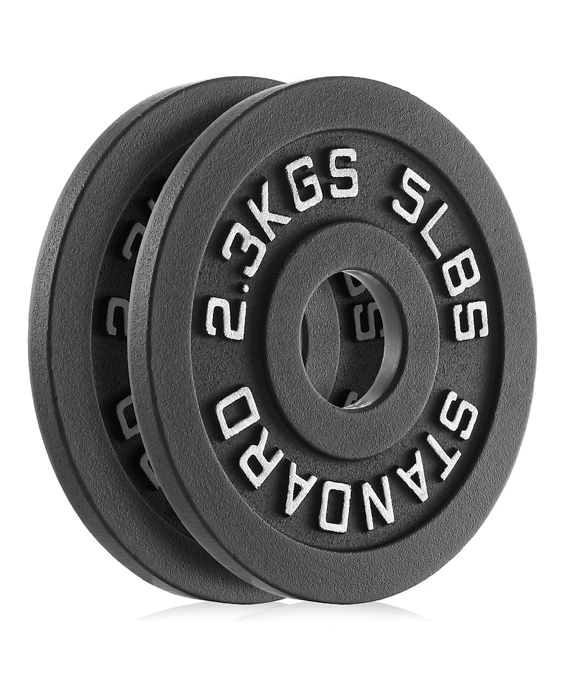 Philosophy Gym Set of 2 Standard Cast Iron Olympic 2-inch Weight Plates ( Lb each