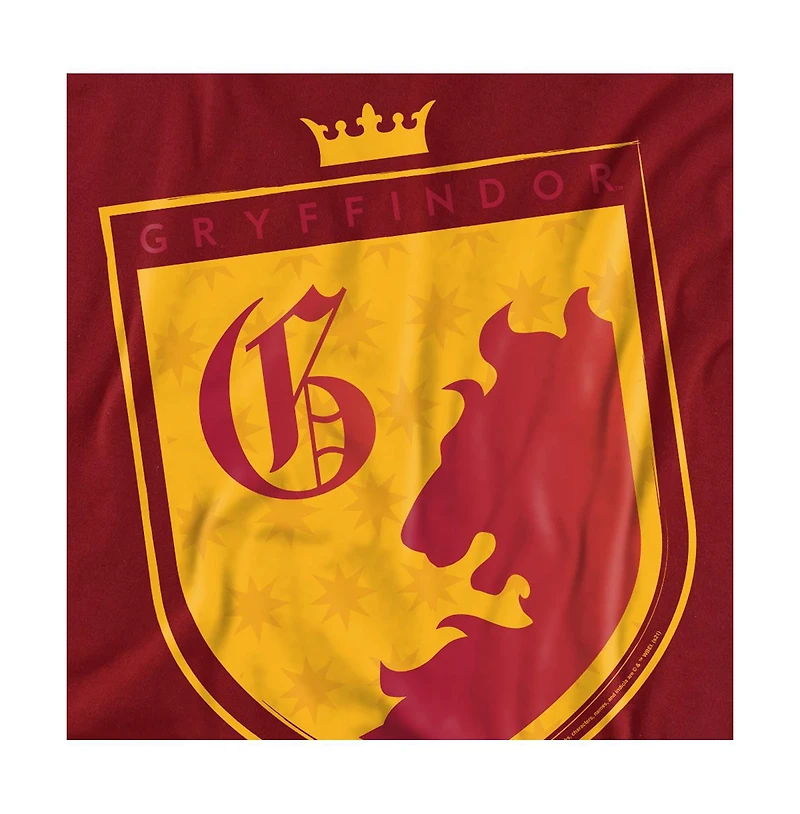 Harry Potter Men's Gryffindor Old English Shield T Shirt