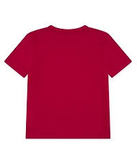 Jordan Boys' Toddler 2T-4T Jumpman Air Embroidery Crewneck T-Shirt