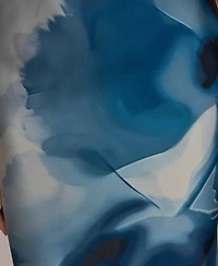 Donna Karan New York Women's Cowl Neck Floral Gown