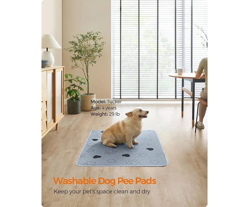 Cozito 2-Pack Washable Dog Pads, 48" x 36", 4-Layer Absorbent Waterproof Tpu, Non-Slip Backing