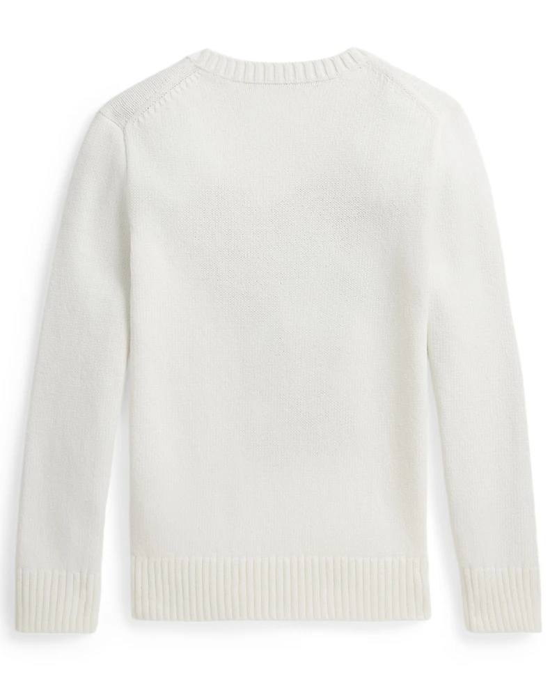 Polo Ralph Lauren Boys' 8-20 Crewneck Sweater