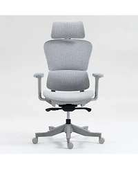 Boyel Living High Back Mesh Office Chair with 4D Armrests & Recline