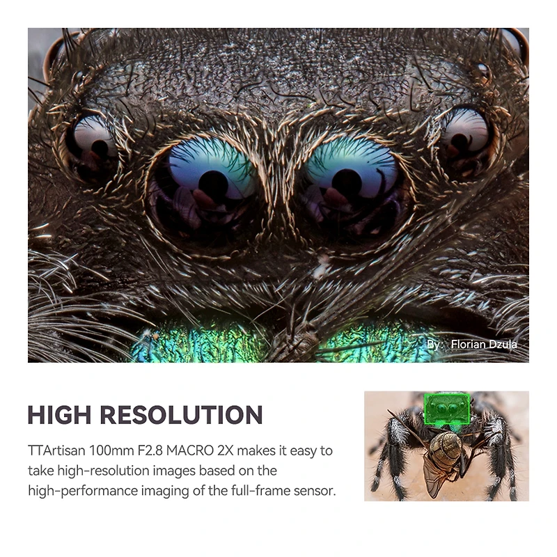 TTArtisan 100mm f/2.8 2X Macro Mirrorless Lens
