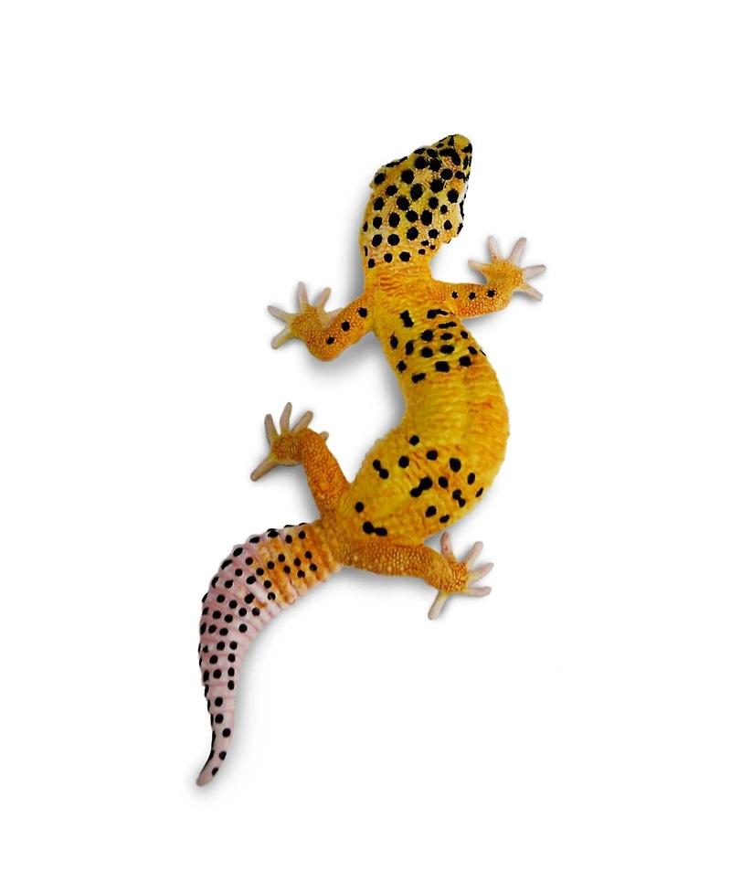 Safari Ltd. Leopard Gecko